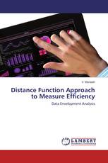 Distance Function Approach to Measure Efficiency