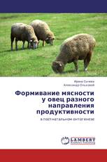Формивание мясности у овец разного направления продуктивности