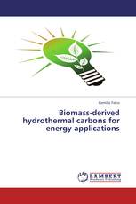 Biomass-derived hydrothermal carbons for energy applications