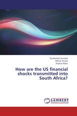 How are the US financial shocks transmitted into South Africa?