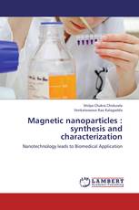 Magnetic nanoparticles : synthesis and characterization