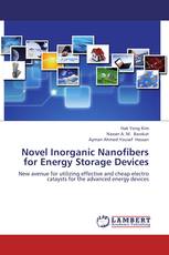 Novel Inorganic Nanofibers for Energy Storage Devices
