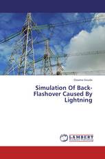 Simulation Of Back-Flashover Caused By Lightning