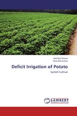 Deficit Irrigation of Potato