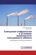 Свинцовая нефропатия в условиях измененного кальциевого обмена