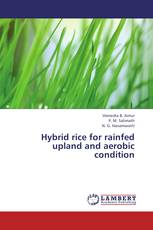 Hybrid rice for rainfed upland and aerobic condition