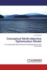 Conceptual Multi-objective Optimization Model