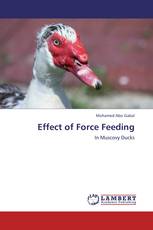 Effect of Force Feeding