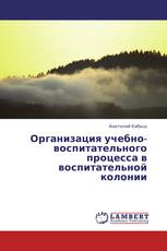 Организация учебно-воспитательного процесса в воспитательной колонии