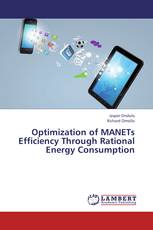 Optimization of MANETs Efficiency Through Rational Energy Consumption