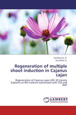 Regeneration of multiple shoot induction in Cajanus cajan