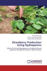 Strawberry Production Using Hydroponics