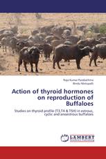 Action of thyroid hormones on reproduction of Buffaloes