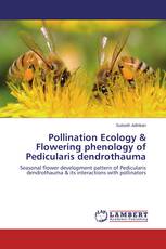 Pollination Ecology & Flowering phenology of Pedicularis dendrothauma