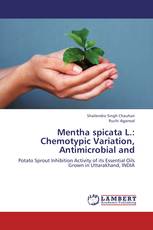 Mentha spicata L.: Chemotypic Variation, Antimicrobial and