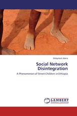 Social Network Disintegration