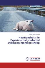 Haemonchosis in Experimentally Infected Ethiopian highland sheep