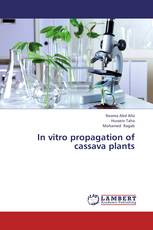 In vitro propagation of cassava plants