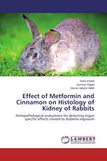 Effect of Metformin and Cinnamon on Histology of Kidney of Rabbits