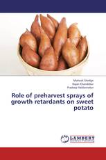 Role of preharvest sprays of growth retardants on sweet potato