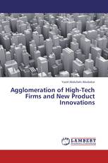 Agglomeration of High-Tech Firms and New Product Innovations