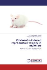 Vinclozolin-induced reproductive toxicity in male rats