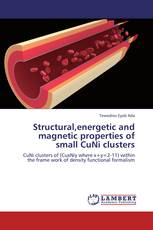 Structural,energetic and magnetic properties of small CuNi clusters