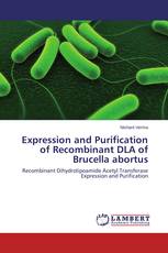 Expression and Purification of Recombinant DLA of Brucella abortus