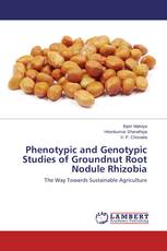 Phenotypic and Genotypic Studies of Groundnut Root Nodule Rhizobia