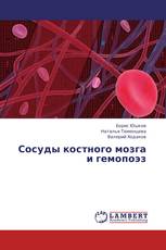 Сосуды костного мозга и гемопоэз
