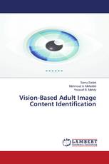 Vision-Based Adult Image Content Identification