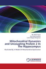 Mitochondrial Dynamics and Uncoupling Protein 2 In The Hippocampus