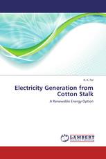 Electricity Generation from Cotton Stalk