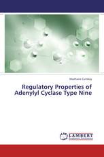 Regulatory Properties of Adenylyl Cyclase Type Nine