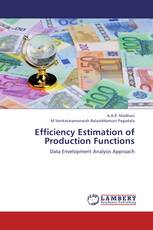 Efficiency Estimation of Production Functions