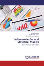 Inference in General Statistical Models