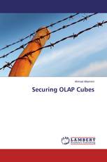 Securing OLAP Cubes