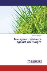 Transgenic resistance against rice tungro