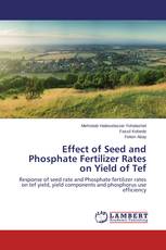 Effect of Seed and Phosphate Fertilizer Rates on Yield of Tef