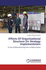 Effects Of Organizational Structure On Strategy Implementation