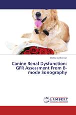Canine Renal Dysfunction: GFR Assessment From B-mode Sonography