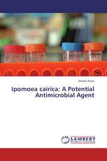 Ipomoea cairica: A Potential Antimicrobial Agent