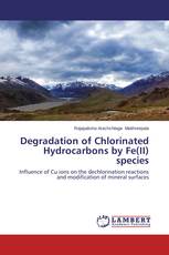 Degradation of Chlorinated Hydrocarbons by Fe(II) species
