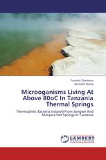 Microoganisms Living At Above 80oC In Tanzania Thermal Springs
