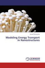 Modeling Energy Transport in Nanostructures
