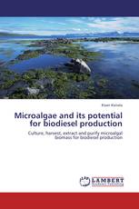 Microalgae and its potential for biodiesel production