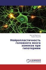 Нейропластичность головного мозга хомяков при гипотермии
