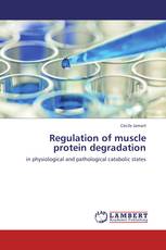 Regulation of muscle protein degradation