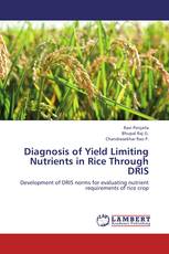 Diagnosis of Yield Limiting Nutrients in Rice Through DRIS