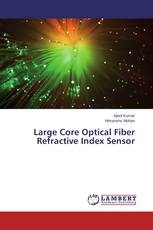 Large Core Optical Fiber Refractive Index Sensor